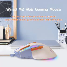 ZIYOU LANG M2 RGB Wired Gaming Mouse, Computer PC Mice USB Honeycomb Mouse Programmable, Adjustable 12800 DPI, for PS4/PC/Mac